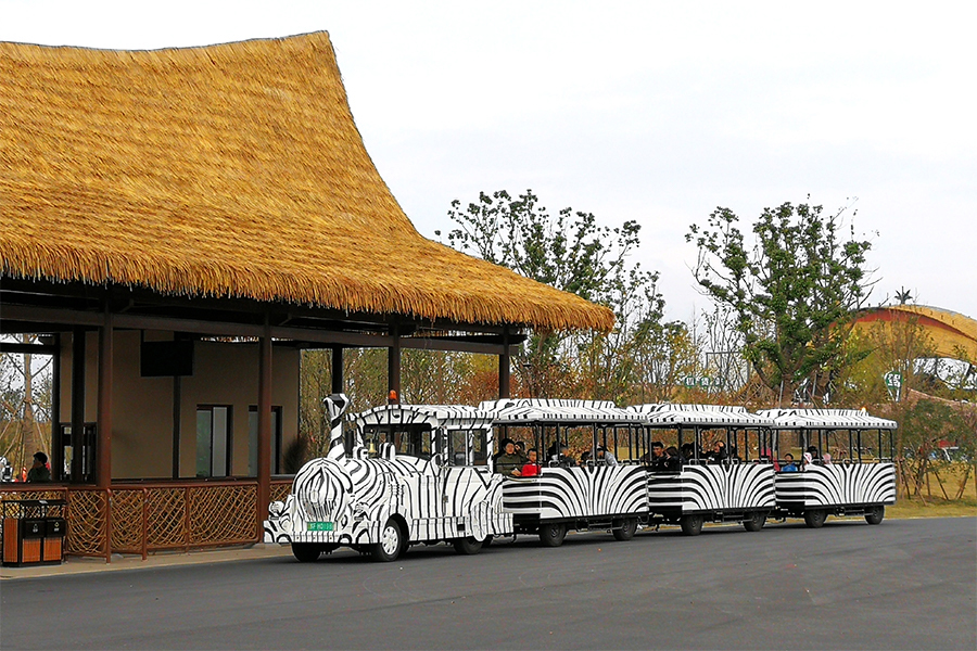 Voitures semi-fermées dos à dos 24 grands trains touristiques élégants sans voie ferrée