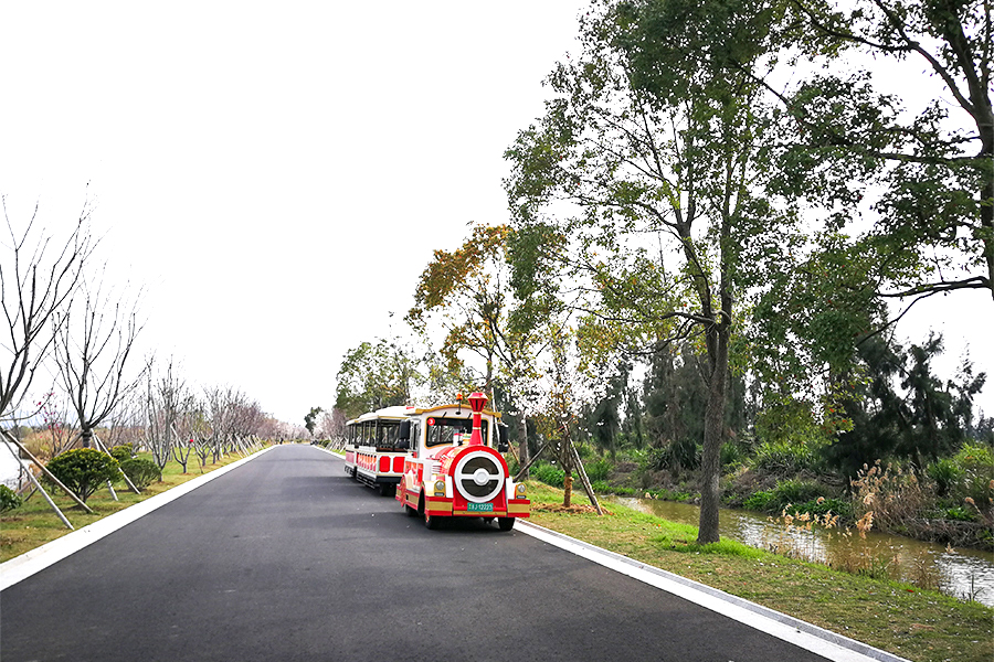 Voiture semi-fermée 28 élégant grand train touristique sans rail