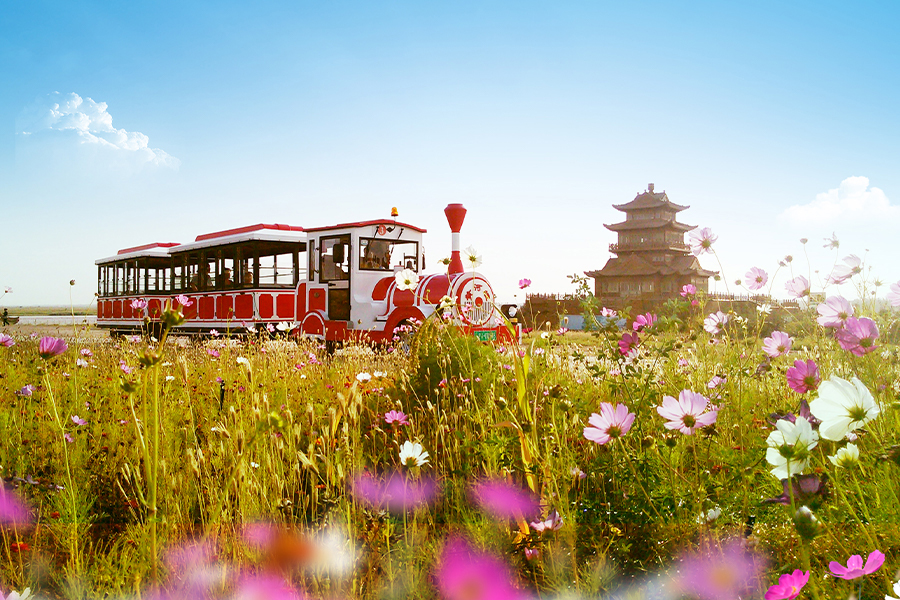 Grand train touristique classique sans voie ferrée de 20 places