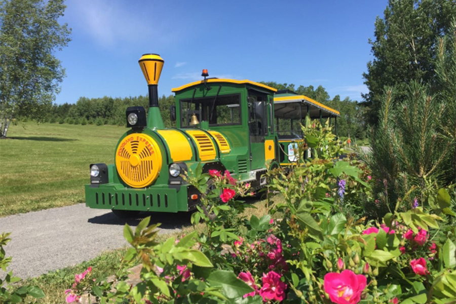 Grand train touristique classique sans voie ferrée à 28 places