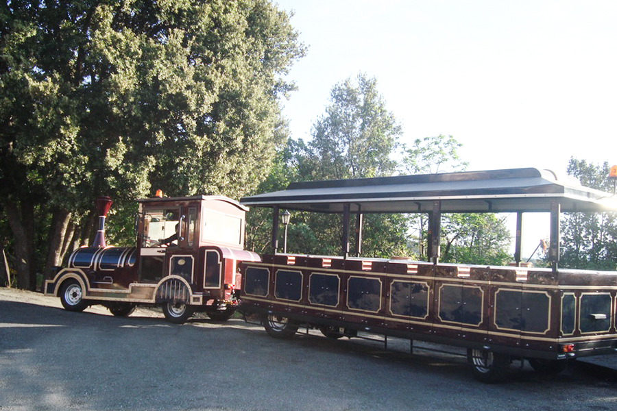 Grand train touristique classique sans voie ferrée de 28 places