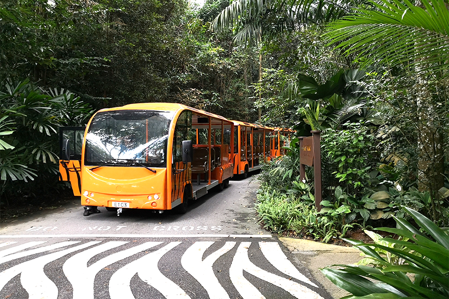 Modèle ouvert de type I électrique avec voiture de tourisme à section remorque