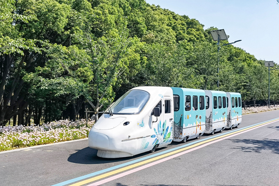 Trains de la série de croisière du parc EMU